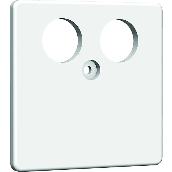 homeway Zentralplatte TV 50x50mm rw HAXHSE-G0201-C001